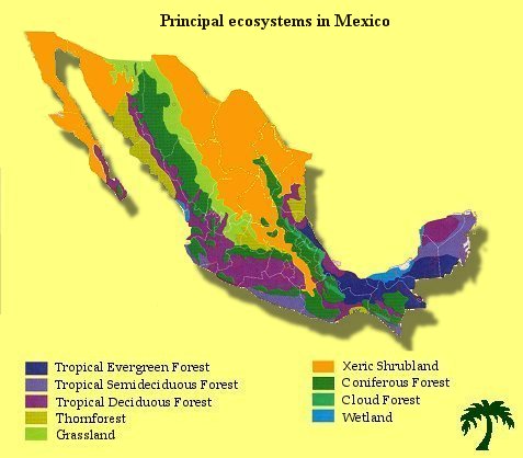 Principal ecosystems in Mexico